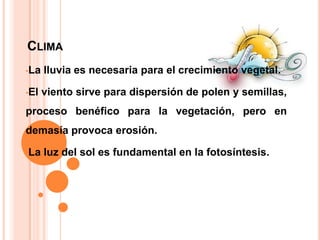 CLIMA
•La

lluvia es necesaria para el crecimiento vegetal.

•El

viento sirve para dispersión de polen y semillas,

proceso benéfico para la vegetación, pero en
demasía provoca erosión.
•La

luz del sol es fundamental en la fotosíntesis.

 