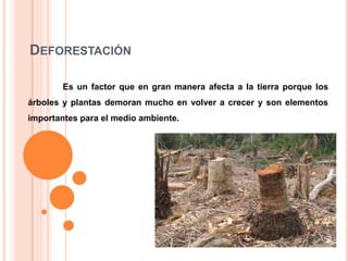 DEFORESTACIÓN
Es un factor que en gran manera afecta a la tierra porque los
árboles y plantas demoran mucho en volver a crecer y son elementos
importantes para el medio ambiente.

 