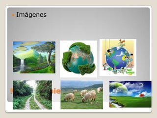 

Imágenes

Medio Ambiente

 