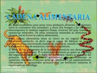  En cada ecosistema unos seres vivos producen alimento (las plantas);

otros lo consumen (los animales); y otros (los hongos y las bacterias)
descomponen la materia orgánica (hojas, troncos) del piso (suelo) en
sustancias minerales. De estas sustancias minerales se alimentan las
plantas. Así se forma la cadena alimentaria.
 Cada cadena alimenticia tiene su inicio en un vegetal o en un
organismo autótrofo, es decir que es capaz de fabricar su propio
alimento ya sea sintetizando sustancias orgánicas, usando energía solar
o mediante el uso de sustancia y reacciones químicas.
 El resto de los integrantes de la cadena alimenticia son denominados
como los consumidores. El consumidor primario es quien se alimenta
del organismo autótrofo, es decir, del productor. Quien se alimente del
primario será el consumidor secundario que generalmente es
carnívoro, mientras el tercero sería un omnívoro o un supercarnívoro.
Obviamente el consumidor primario será un herbívoro mientras el
cuarto será un necrófago.

 