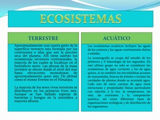 TERRESTRE
 Aproximadamente una cuarta parte de la
superficie terrestre esta formada por los
continentes e islas que son la porción
seca del planeta. Allí tiene asiento los
ecosistemas terrestres continentales, la
mayoría de los cuales se localizan en el
hemisferio norte. Las alturas de la masa
terrestre se elevan desde el nivel del mar
hasta elevaciones montañosas de
aproximadamente 9000 mts. De altitud
como el monte Everest en el Himalaya.

La mayoría de los seres vivos terrestres se
distribuyen en los primeros 6700 mts.
Aunque se han hallado esporas de
bacterias y hongos en la atmósfera a
mayores alturas.

ACUÁTICO




Los ecosistemas acuáticos incluyen las aguas
de los océanos y las aguas continentales dulces
o saladas.
La oceanografía se ocupa del estudio de los
primeros y li limnología de los segundos. En
este ultimo grupo no solo se consideran los
ecosistemas de agua corriente y los de agua
quieta, si no también los microhabitas acuosos
de manantiales, huecos de árboles e incluso las
cavidades de plantas donde se acumula agua.
Cada uno de estos cuerpos de agua tiene
estructuras y propiedades físicas particulares
con relación a la luz, la temperatura, las
olas, las corrientes y la composición
química, así como diferentes tipos de
organizaciones ecológicas y de distribución de
los organismos.

 