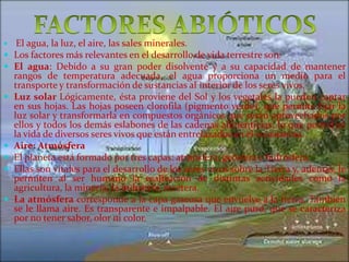 










El agua, la luz, el aire, las sales minerales.
Los factores más relevantes en el desarrollo de vida terrestre son:
El agua: Debido a su gran poder disolvente y a su capacidad de mantener
rangos de temperatura adecuada, el agua proporciona un medio para el
transporte y transformación de sustancias al interior de los seres vivos.
Luz solar Lógicamente, ésta proviene del Sol y los vegetales la pueden captar
en sus hojas. Las hojas poseen clorofila (pigmento verde), que permite fijar la
luz solar y transformarla en compuestos orgánicos que serán aprovechados por
ellos y todos los demás eslabones de las cadenas alimenticias, lo que permitirá
la vida de diversos seres vivos que están entrelazados en el ecosistema.
Aire: Atmósfera
El planeta está formado por tres capas: atmósfera, geósfera e hidrósfera.
Ellas son vitales para el desarrollo de los seres vivos sobre la Tierra y, además, le
permiten al ser humano la realización de distintas actividades como la
agricultura, la minería, la industria, etcétera.
La atmósfera corresponde a la capa gaseosa que envuelve a la tierra. También
se le llama aire. Es transparente e impalpable. El aire puro, que se caracteriza
por no tener sabor, olor ni color.

 