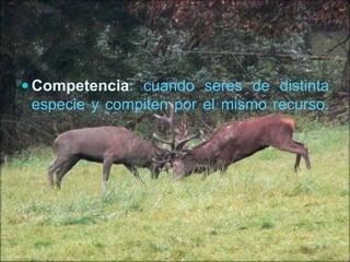  Competencia: cuando seres de distinta

especie y compiten por el mismo recurso.

 