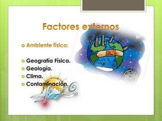 
 Geografía Física.
 Geología.
 Clima.
 Contaminación.
 