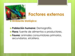 
 Población humana: Demografía.
 Flora: fuente de alimentos o productores.
 Fauna: animales consumidores primarios,
secundarios, etcétera.
 