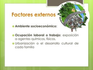  Ambiente socioeconómico:
 Ocupación laboral o trabajo: exposición
a agentes químicos, físicos.
 Urbanización o el desarrollo cultural de
cada familia
 