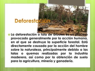  La deforestación o tala de árboles es un proceso
provocado generalmente por la acción humana,
en el que se destruye la superficie forestal. Está
directamente causada por la acción del hombre
sobre la naturaleza, principalmente debido a las
talas o quemas realizadas por la industria
maderera, así como por la obtención de suelo
para la agricultura, minería y ganadería.
 