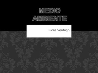 Lucas Verdugo
MEDIO
AMBIENTE
 