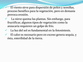  
Elvientosirve para dispersión de polen y semillas, proceso benéfico para la vegetación, pero en demasía provoca erosión. 
 
Lanieve quema las plantas. Sin embargo, para fructificar, algunos tipos de vegetación como la araucaria requieren un golpe de frío. 
 
Laluz del soles fundamental en lafotosíntesis. 
 
El calor es necesario pero en exceso genera sequía, y ésta, esterilidad de la tierra.  