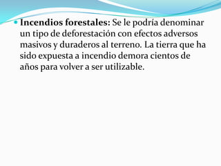  
Incendios forestales: Se le podría denominar un tipo de deforestación con efectos adversos masivos y duraderos al terreno. La tierra que ha sido expuesta aincendio demora cientos de años para volver a ser utilizable.  