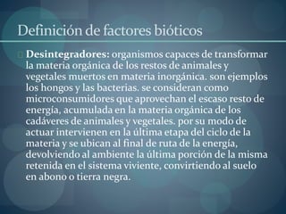 Definición de factores bióticos 
Desintegradores: organismos capaces de transformar 
la materia orgánica de los restos de animales y 
vegetales muertos en materia inorgánica. son ejemplos 
los hongos y las bacterias. se consideran como 
microconsumidores que aprovechan el escaso resto de 
energía, acumulada en la materia orgánica de los 
cadáveres de animales y vegetales. por su modo de 
actuar intervienen en la última etapa del ciclo de la 
materia y se ubican al final de ruta de la energía, 
devolviendo al ambiente la última porción de la misma 
retenida en el sistema viviente, convirtiendo al suelo 
en abono o tierra negra. 
 