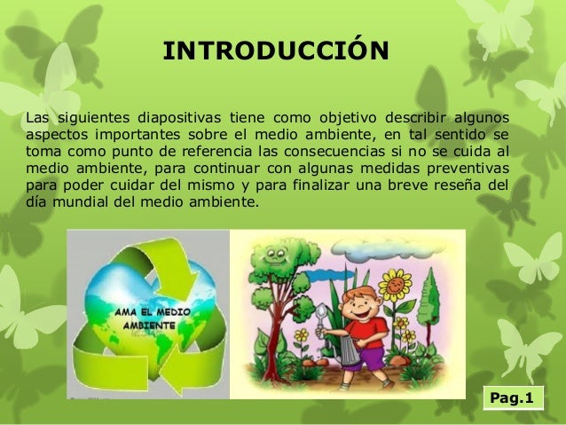 El medio ambiente