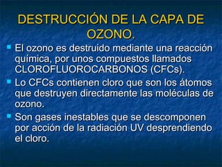 DESTRUCCIÓN DDEE LLAA CCAAPPAA DDEE 
OOZZOONNOO.. 
 EEll oozzoonnoo eess ddeessttrruuiiddoo mmeeddiiaannttee uunnaa rreeaacccciióónn 
qquuíímmiiccaa,, ppoorr uunnooss ccoommppuueessttooss llllaammaaddooss 
CCLLOORROOFFLLUUOORROOCCAARRBBOONNOOSS ((CCFFCCss)).. 
 LLoo CCFFCCss ccoonnttiieenneenn cclloorroo qquuee ssoonn llooss ááttoommooss 
qquuee ddeessttrruuyyeenn ddiirreeccttaammeennttee llaass mmoollééccuullaass ddee 
oozzoonnoo.. 
 SSoonn ggaasseess iinneessttaabblleess qquuee ssee ddeessccoommppoonneenn 
ppoorr aacccciióónn ddee llaa rraaddiiaacciióónn UUVV ddeesspprreennddiieennddoo 
eell cclloorroo.. 
 