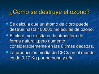 ¿CCóómmoo ssee ddeessttrruuyyee eell oozzoonnoo?? 
 SSee ccaallccuullaa qquuee uunn ááttoommoo ddee cclloorroo ppuueeddee 
ddeessttrruuiirr hhaassttaa 110000000000 mmoollééccuullaass ddee oozzoonnoo.. 
 EEll cclloorroo nnoo eexxiissttííaa eenn llaa aattmmóóssffeerraa ddee 
ffoorrmmaa nnaattuurraall ,,ppeerroo aauummeennttóó 
ccoonnssiiddeerraabblleemmeennttee eenn llaass úúllttiimmaass ddééccaaddaass.. 
 LLaa pprroodduucccciióónn mmeeddiiaa ddee CCFFCCss eenn eell mmuunnddoo 
eess ddee 00..1177 KKgg ppoorr ppeerrssoonnaa yy aaññoo.. 
 