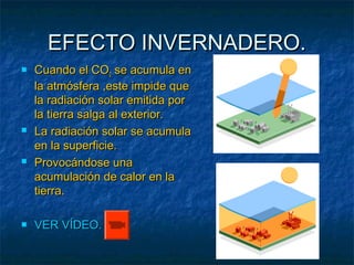 EEFFEECCTTOO IINNVVEERRNNAADDEERROO.. 
 CCuuaannddoo eell CCOO22 ssee aaccuummuullaa eenn 
llaa aattmmóóssffeerraa ,,eessttee iimmppiiddee qquuee 
llaa rraaddiiaacciióónn ssoollaarr eemmiittiiddaa ppoorr 
llaa ttiieerrrraa ssaallggaa aall eexxtteerriioorr.. 
 LLaa rraaddiiaacciióónn ssoollaarr ssee aaccuummuullaa 
eenn llaa ssuuppeerrffiicciiee.. 
 PPrroovvooccáánnddoossee uunnaa 
aaccuummuullaacciióónn ddee ccaalloorr eenn llaa 
ttiieerrrraa.. 
 VVEERR VVÍÍDDEEOO.. 
 