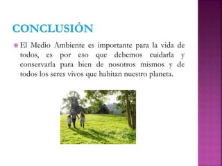  El Medio Ambiente es importante para la vida de
todos, es por eso que debemos cuidarla y
conservarla para bien de nosotros mismos y de
todos los seres vivos que habitan nuestro planeta.
 