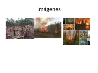 Imágenes
 