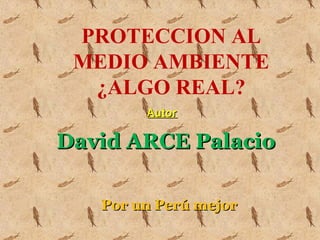 Por un Perú mejorPor un Perú mejor
AutorAutor
David ARCE PalacioDavid ARCE Palacio
PROTECCION AL
MEDIO AMBIENTE
¿ALGO REAL?
 