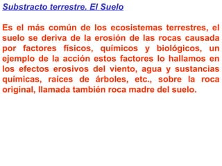 Substracto terrestre. El Suelo
Es el más común de los ecosistemas terrestres, el
suelo se deriva de la erosión de las rocas causada
por factores físicos, químicos y biológicos, un
ejemplo de la acción estos factores lo hallamos en
los efectos erosivos del viento, agua y sustancias
químicas, raíces de árboles, etc., sobre la roca
original, llamada también roca madre del suelo.
 