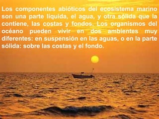 Los componentes abióticos del ecosistema marino
son una parte líquida, el agua, y otra sólida que la
contiene, las costas y fondos. Los organismos del
océano pueden vivir en dos ambientes muy
diferentes: en suspensión en las aguas, o en la parte
sólida: sobre las costas y el fondo.
 