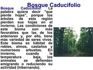 Bosque CaducifolioBosque Caducifolio. La
palabra quiere decir "que
pierde hojas", porque los
árboles de esta región
pierden sus hojas en el
invierno. Las condiciones de
este bioma son más
favorables que las de los
anteriores y, por ello, tiene
más variedad de seres vivos.
Este bioma es hábitat de
robles, olmos, castaños y
numerosos arbustos. En
invierno, cuando la
temperatura baja, los
animales se defienden
emigrando o reduciendo su
actividad (hibernando).
 