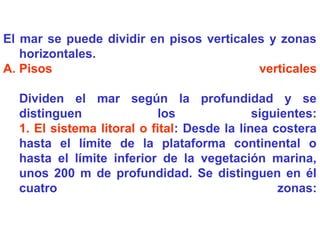 El mar se puede dividir en pisos verticales y zonas
horizontales.
A. Pisos verticales
Dividen el mar según la profundidad y se
distinguen los siguientes:
1. El sistema litoral o fital: Desde la línea costera
hasta el límite de la plataforma continental o
hasta el límite inferior de la vegetación marina,
unos 200 m de profundidad. Se distinguen en él
cuatro zonas:
 