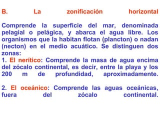 B. La zonificación horizontal
Comprende la superficie del mar, denominada
pelagial o pelágica, y abarca el agua libre. Los
organismos que la habitan flotan (plancton) o nadan
(necton) en el medio acuático. Se distinguen dos
zonas:
1. El nerítico: Comprende la masa de agua encima
del zócalo continental, es decir, entre la playa y los
200 m de profundidad, aproximadamente.
2. El oceánico: Comprende las aguas oceánicas,
fuera del zócalo continental.
 