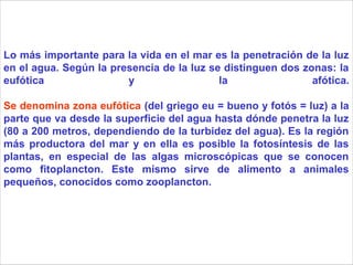 Lo más importante para la vida en el mar es la penetración de la luz
en el agua. Según la presencia de la luz se distinguen dos zonas: la
eufótica y la afótica.
Se denomina zona eufótica (del griego eu = bueno y fotós = luz) a la
parte que va desde la superficie del agua hasta dónde penetra la luz
(80 a 200 metros, dependiendo de la turbidez del agua). Es la región
más productora del mar y en ella es posible la fotosíntesis de las
plantas, en especial de las algas microscópicas que se conocen
como fitoplancton. Este mismo sirve de alimento a animales
pequeños, conocidos como zooplancton.
 
