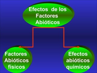 Efectos de los
Factores
Abióticos
Efectos
abióticos
químicos
Factores
Abióticos
físicos
 