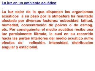 La luz en un ambiente acuático
La luz solar de la que disponen los organismos
acuáticos a su paso por la atmósfera ha resultado
afectada por diversos factores: nubosidad, latitud,
humedad, concentración de polvos o de esmog,
etc. Por consiguiente, el medio acuático recibe una
luz parcialmente filtrada, la cual en su recorrido
hacia las partes interiores del medio acuático sufre
efectos de reflexión, intensidad, distribución
angular y estacional.
 