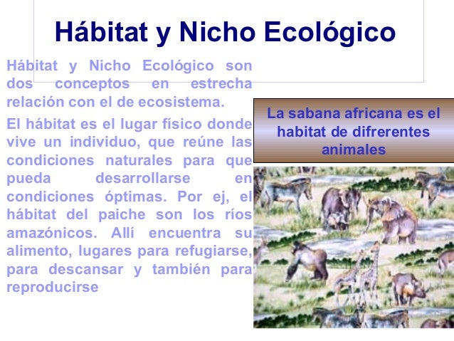 Medio ambiente