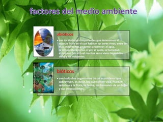 abióticos
• son los distintos componentes que determinan el
espacio físico en el cual habitan los seres vivos; entre los
más importantes podemos encontrar: el agua,
la temperatura, la luz, el pH, el suelo, la humedad,
el oxígeno (sin el cual muchos seres vivos no podrían
vivir) y los nutrientes.
bióticos
•son todos los organismos de un ecosistema que
sobreviven, es decir, los que tienen vida. Pueden
referirse a la flora, la fauna, los humanos de un lugar
y sus interacciones.
 