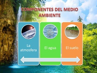 La
atmosfera
El agua El suelo
 