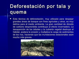 Deforestación por tala yDeforestación por tala y
quemaquema
 Esta técnica de deforestación, muy utilizada para despejarEsta técnica de deforestación, muy utilizada para despejar
grandes áreas de bosque con fines agrícolas y otros, es muygrandes áreas de bosque con fines agrícolas y otros, es muy
dañina para el medio ambiente. La gran cantidad de dióxidodañina para el medio ambiente. La gran cantidad de dióxido
de carbono desprendida contribuye al efecto invernadero. Lade carbono desprendida contribuye al efecto invernadero. La
desaparición de los árboles y la cubierta vegetal destruye eldesaparición de los árboles y la cubierta vegetal destruye el
hábitat, acelera la erosión y multiplica la carga de sedimentoshábitat, acelera la erosión y multiplica la carga de sedimentos
de los ríos, haciendo que las inundaciones estacionales seande los ríos, haciendo que las inundaciones estacionales sean
mucho más graves.mucho más graves.
 