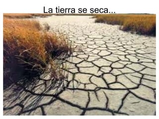 La tierra se seca...
 