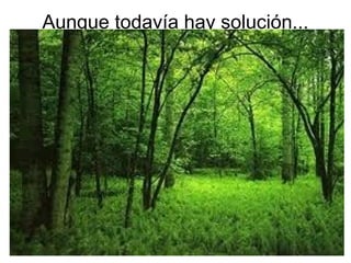 Aunque todavía hay solución...
 