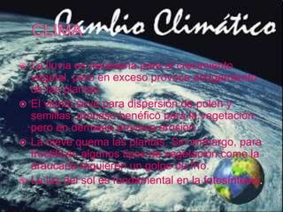  La lluvia es necesaria para el crecimiento
vegetal, pero en exceso provoca ahogamiento
de las plantas.
 El viento sirve para dispersión de polen y
semillas, proceso benéfico para la vegetación,
pero en demasía provoca erosión.
 La nieve quema las plantas. Sin embargo, para
fructificar, algunos tipos de vegetación como la
araucaria requieren un golpe de frío.
 La luz del sol es fundamental en la fotosíntesis.
 