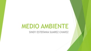 MEDIO AMBIENTE
SINDY ESTEFANIA SUAREZ CHAVEZ
 