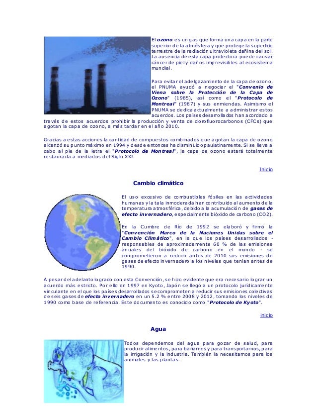 Los resultados de la aplicación reduksina
