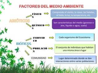 Comprende el viento, la nieve, las heladas,
el hielo, la luz, la temperatura, etc.FÍSICO
S
QUÍMICO
S
Son características del medio (gaseoso o
aire, líquido o agua, suelo)
INDIVID
UO
POBLACIÓ
N
COMUNIDAD
Cada organismo del EcosistemaCada organismo del Ecosistema
El conjunto de individuos que habitan
una misma área o lugar
El conjunto de individuos que habitan
una misma área o lugar
Lugar determinado donde se dan
interacciones entre varias poblaciones.
Lugar determinado donde se dan
interacciones entre varias poblaciones.
 