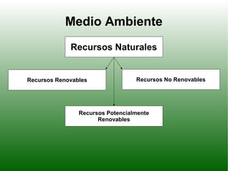 Medio Ambiente
Recursos Naturales
Recursos Renovables Recursos No Renovables
Recursos Potencialmente
Renovables
 