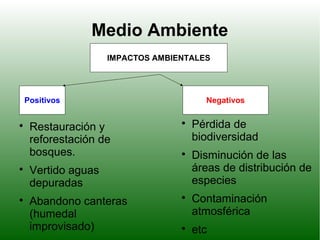 Medio Ambiente
IMPACTOS AMBIENTALES
Positivos Negativos

Restauración y
reforestación de
bosques.

Vertido aguas
depuradas

Abandono canteras
(humedal
improvisado)

Pérdida de
biodiversidad

Disminución de las
áreas de distribución de
especies

Contaminación
atmosférica

etc
 