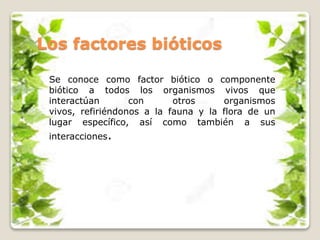 Los factores bióticos
Se conoce como factor biótico o componente
biótico a todos los organismos vivos que
interactúan con otros organismos
vivos, refiriéndonos a la fauna y la flora de un
lugar específico, así como también a sus
interacciones.
 