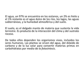 El agua, un 97% se encuentra en los océanos, un 2% es hielo y
el 1% restante es el agua dulce de los ríos, los lagos, las aguas
subterráneas, y la humedad atmosférica y del suelo.
El suelo, es el delgado manto de materia que sustenta la vida
terrestre. Es producto de la interacción del clima y del sustrato
rocoso.
De todos ellos dependen los organismos vivos, incluidos los
seres humanos. Las plantas se sirven del agua, del dióxido de
carbono y de la luz solar para convertir materias primas en
carbohidratos por medio de la fotosíntesis.
 