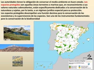 Las autoridades tienen la obligación de conservar el medio ambiente en buen estado. Los
espacios protegidos son aquellas áreas terrestres o marinas que, en reconocimiento a sus
valores naturales sobresalientes, están específicamente dedicadas a la conservación de la
naturaleza y sujetas, por lo tanto, a un régimen jurídico especial para su protección.
Los espacios protegidos desempeñan una función decisiva para la conservación de los
ecosistemas y la supervivencia de las especies. Son uno de los instrumentos fundamentales
para la conservación de la biodiversidad
 