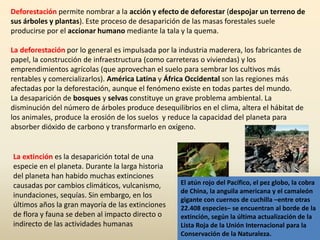 Deforestación permite nombrar a la acción y efecto de deforestar (despojar un terreno de
sus árboles y plantas). Este proceso de desaparición de las masas forestales suele
producirse por el accionar humano mediante la tala y la quema.
La deforestación por lo general es impulsada por la industria maderera, los fabricantes de
papel, la construcción de infraestructura (como carreteras o viviendas) y los
emprendimientos agrícolas (que aprovechan el suelo para sembrar los cultivos más
rentables y comercializarlos). América Latina y África Occidental son las regiones más
afectadas por la deforestación, aunque el fenómeno existe en todas partes del mundo.
La desaparición de bosques y selvas constituye un grave problema ambiental. La
disminución del número de árboles produce desequilibrios en el clima, altera el hábitat de
los animales, produce la erosión de los suelos y reduce la capacidad del planeta para
absorber dióxido de carbono y transformarlo en oxígeno.
La extinción es la desaparición total de una
especie en el planeta. Durante la larga historia
del planeta han habido muchas extinciones
causadas por cambios climáticos, vulcanismo,
inundaciones, sequías. Sin embargo, en los
últimos años la gran mayoría de las extinciones
de flora y fauna se deben al impacto directo o
indirecto de las actividades humanas
El atún rojo del Pacífico, el pez globo, la cobra
de China, la anguila americana y el camaleón
gigante con cuernos de cuchilla –entre otras
22.408 especies– se encuentran al borde de la
extinción, según la última actualización de la
Lista Roja de la Unión Internacional para la
Conservación de la Naturaleza.
 