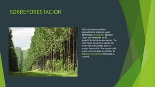 SOBREFORESTACION
Este extremo también
perjudicial al entorno, pues
demasiada vegetación absorbe
todos los minerales de la
superficie donde se encuentra. De
este modo el suelo se queda sin
minerales suficientes para su
propio desarrollo. Una manera de
evitar esto consiste en utilizar la
Rotación de cultivos adecuada a
la zona.
 