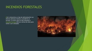 INCENDIOS FORESTALES
Se le denomina un tipo de deforestación con
efectos adversos masivos y duraderos al
terreno. La tierra que ha sido expuesta a
incendio forestal demora cientos de años para
volver a ser utilizable
 