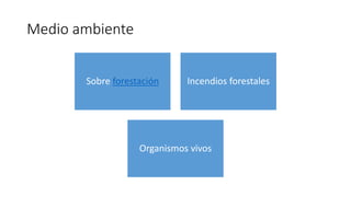Medio ambiente
Sobre forestación Incendios forestales
Organismos vivos
 