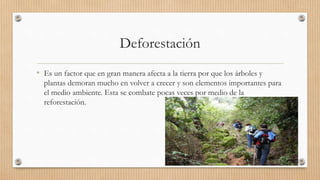 Deforestación
• Es un factor que en gran manera afecta a la tierra por que los árboles y
plantas demoran mucho en volver a crecer y son elementos importantes para
el medio ambiente. Esta se combate pocas veces por medio de la
reforestación.
 